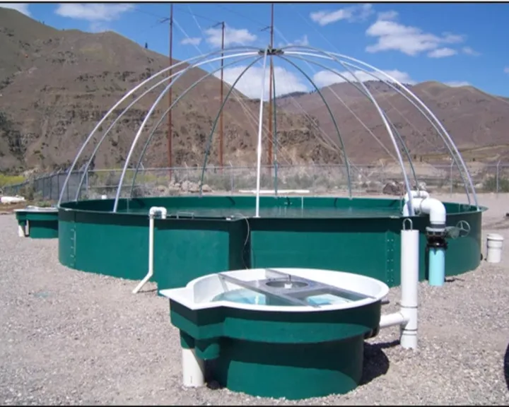 Eastbank Hatchery Dual Drain Circular Tank
