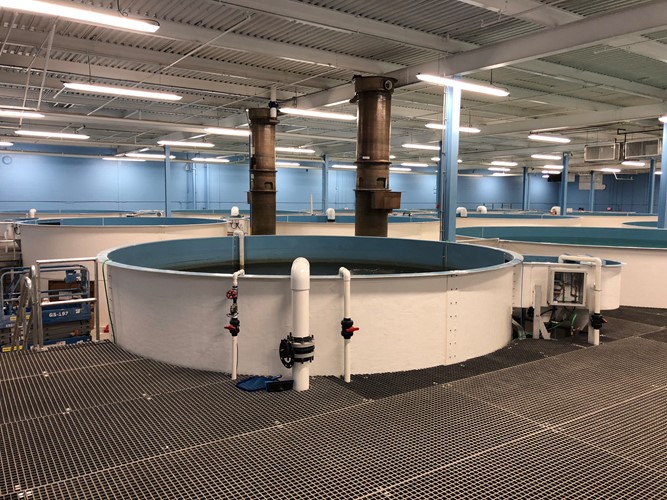 PR Aqua recirculating aquaculture systems
