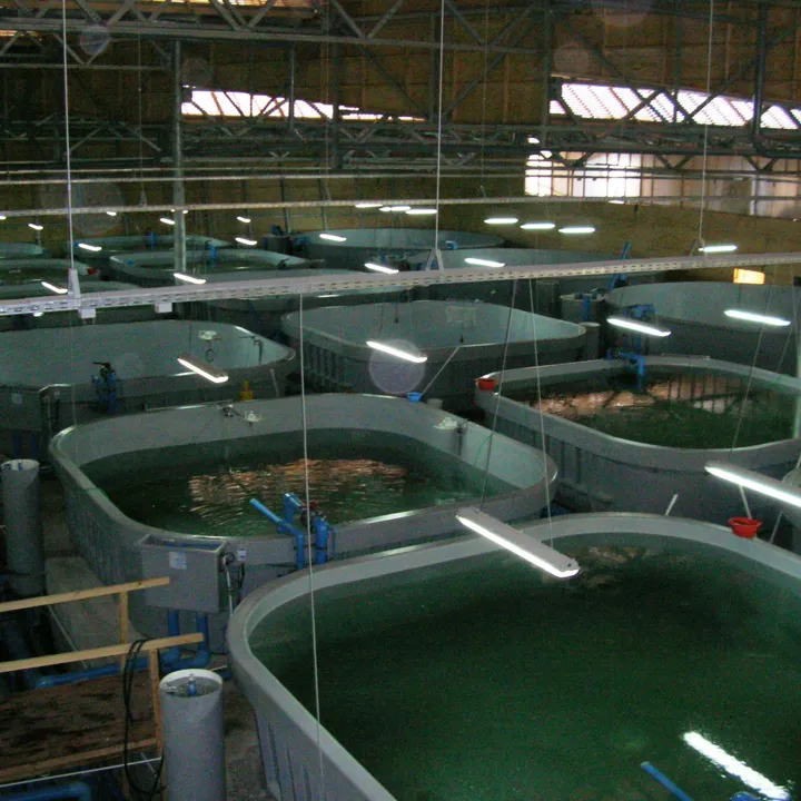 RAS recirculating aquaculture system Hydrotech drum filter aquaculture