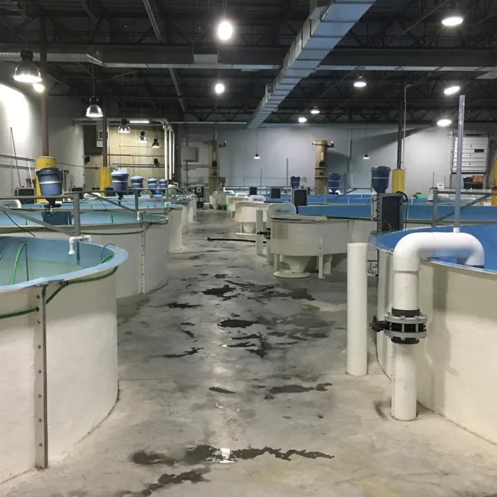 RAS recirculating aquaculture system Hydrotech drum filter belt aquaculture