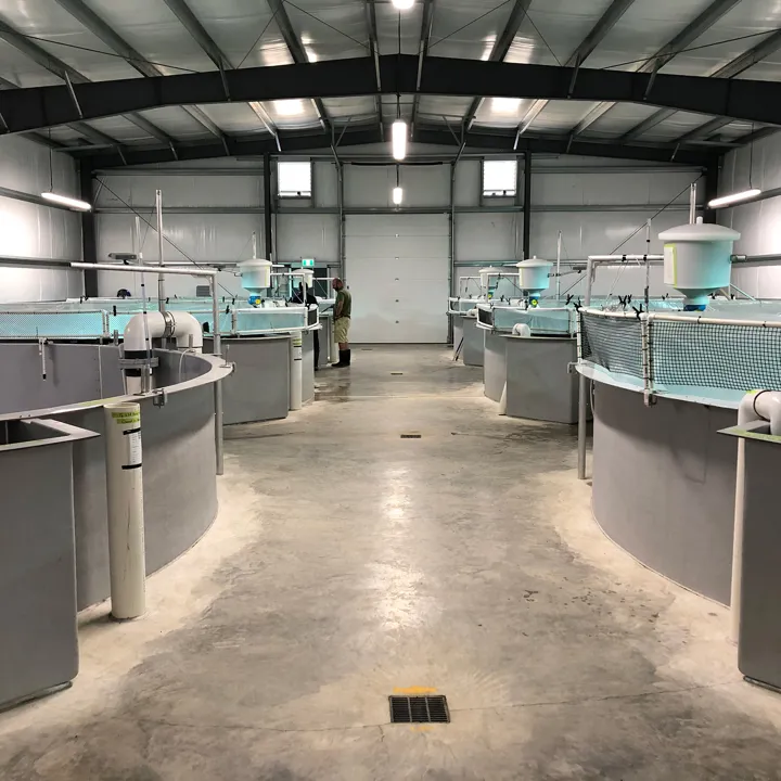 Hydrotech Belt Drum Filter RAS Recirculating Aquaculture System