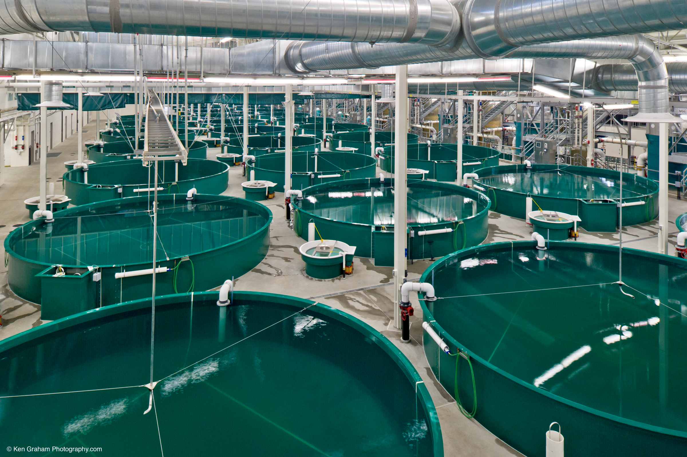 State of Alaska – William Jack Hernandez Hatchery, Anchorage, Alaska, USA