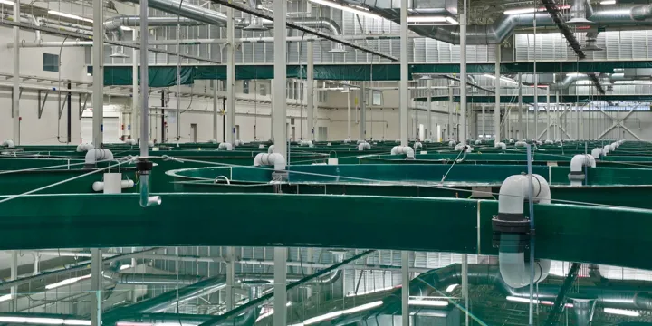 RAS Recirculating Aquaculture System Hydrotech Drum Filter Aquaculture At William Jack Hernandez Hatchery