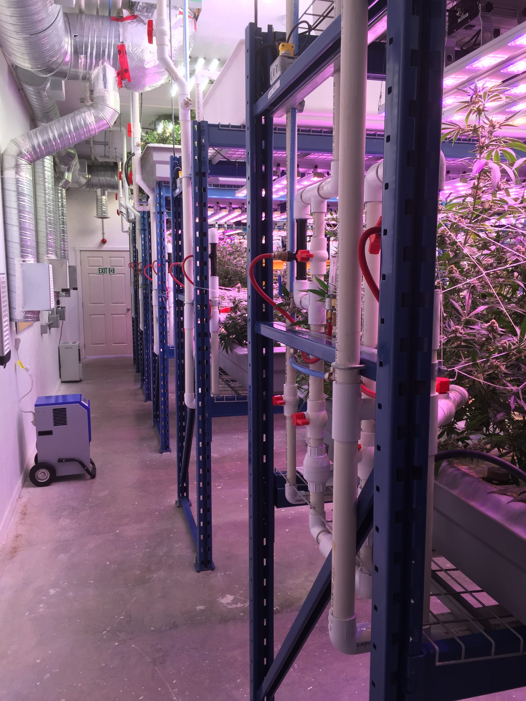 PPC Pressure Packed Column Oxygenation Pump PR Aqua at Aquaponics Pilot