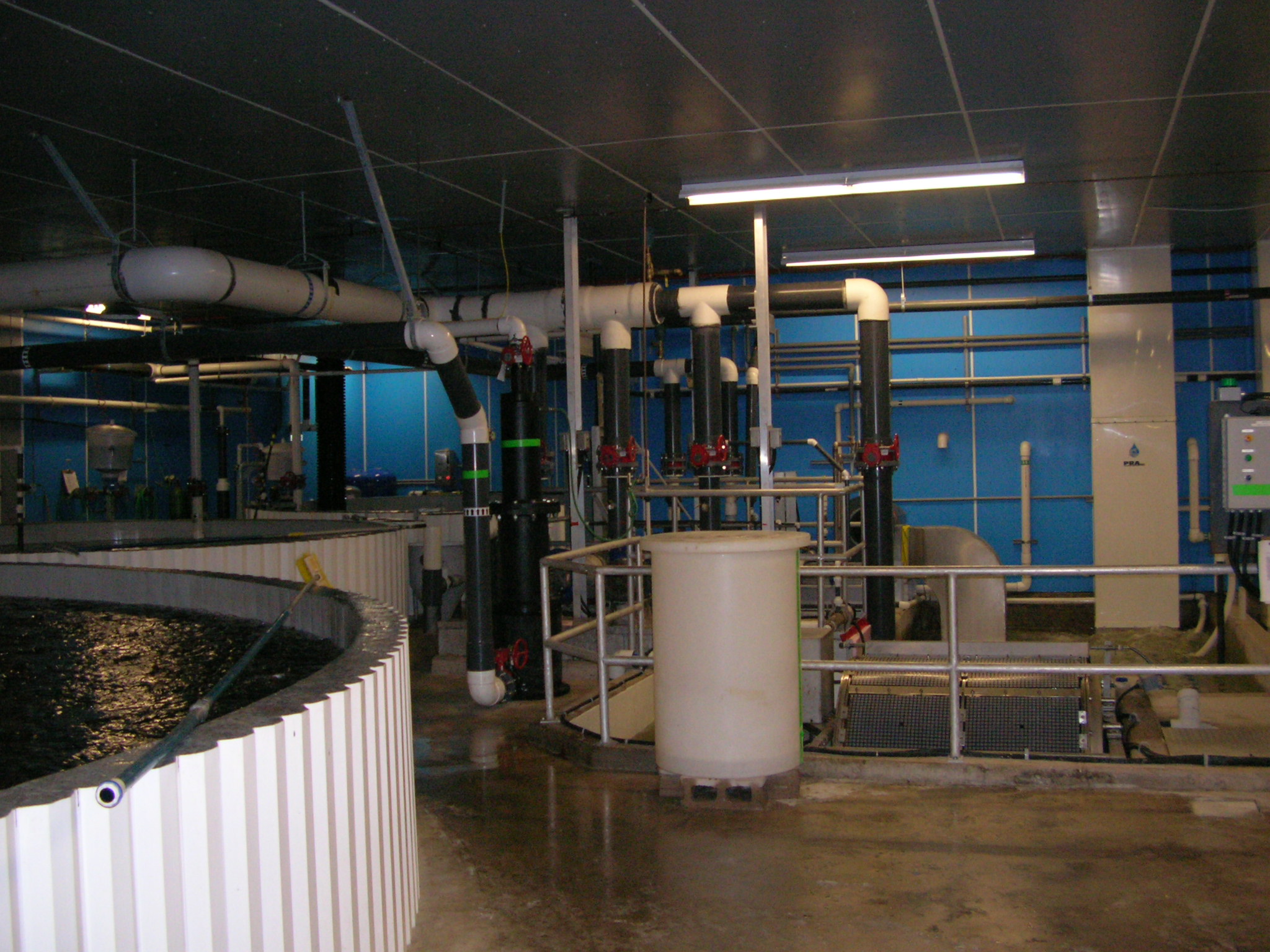 RAS recirculating aquaculture system pressure packed columns aquaculture