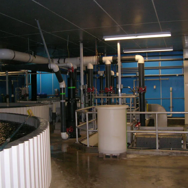 RAS recirculating aquaculture system pressure packed columns aquaculture