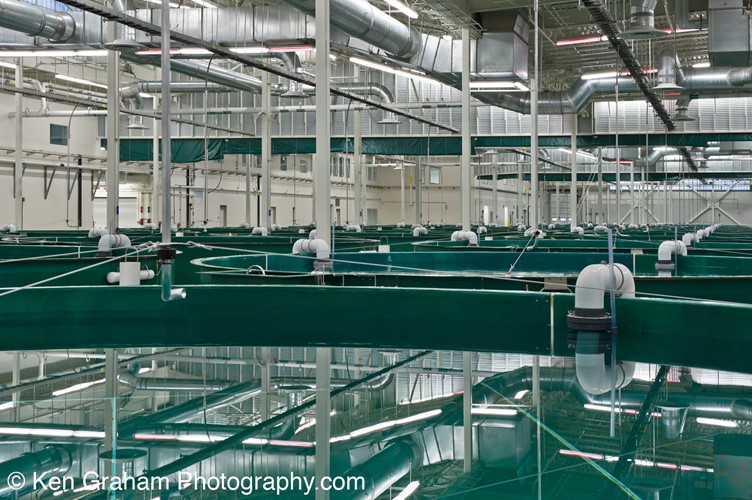 RAS recirculating aquaculture system Hydrotech drum filter aquaculture