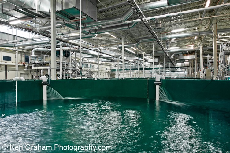 RAS recirculating aquaculture system Hydrotech drum filter aquaculture