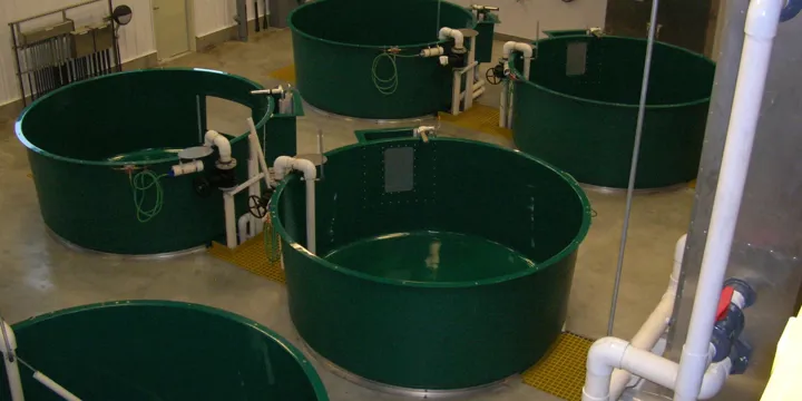 RAS Recirculating Aquaculture System Hydrotech Drum Filter Aquaculture