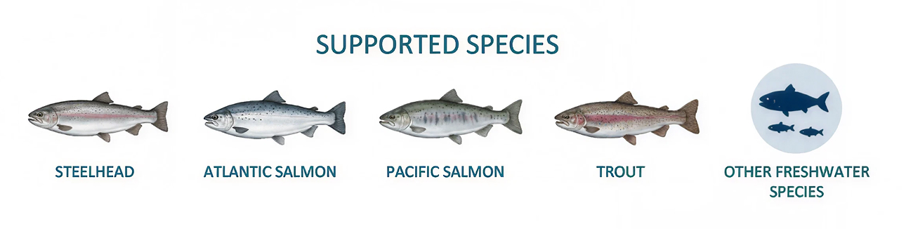 Support Species