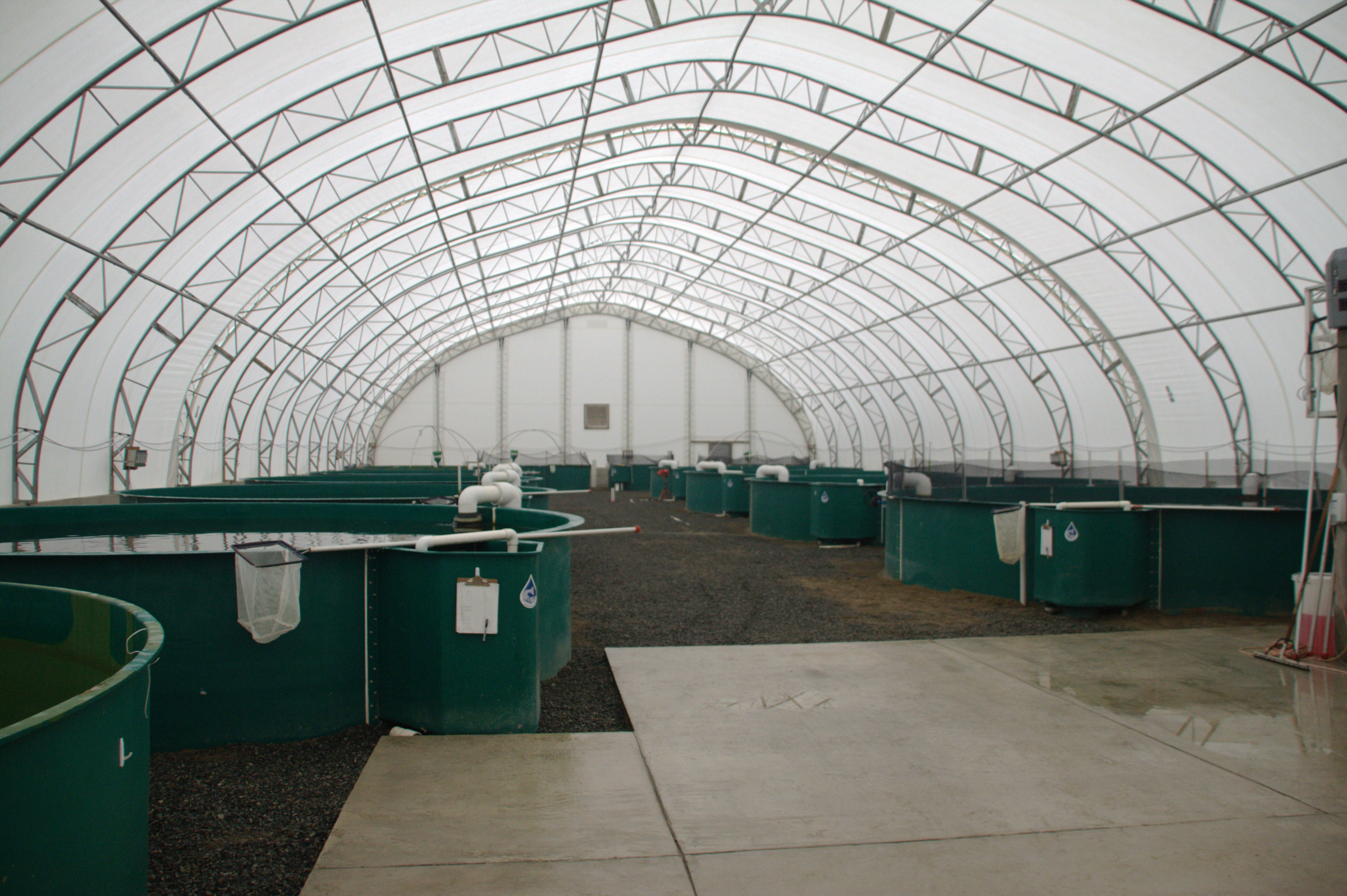 RAS recirculating aquaculture system Hydrotech drum filter belt Canada