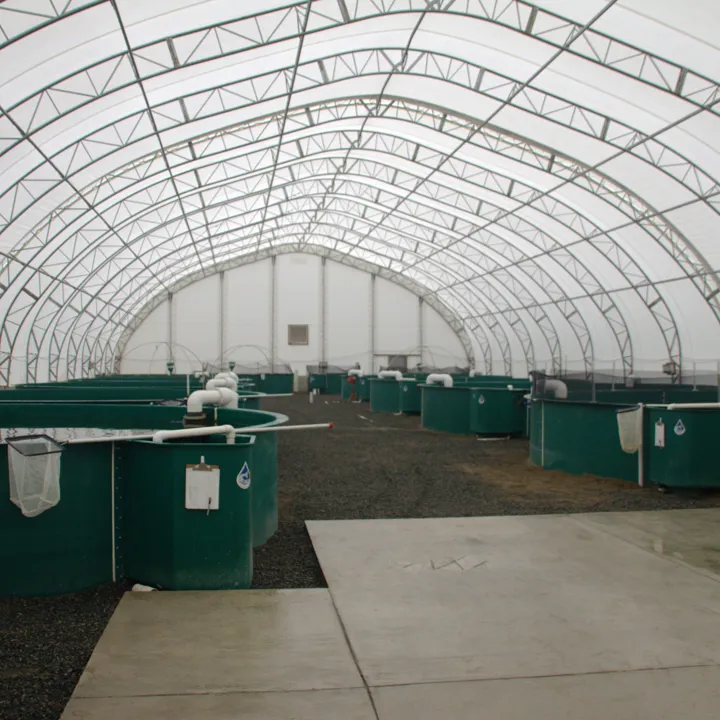 RAS recirculating aquaculture system Hydrotech drum filter belt Canada