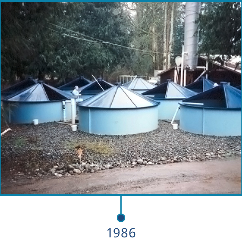 First big order of fiberglass tanks for Sea Springs Salmon in 1986