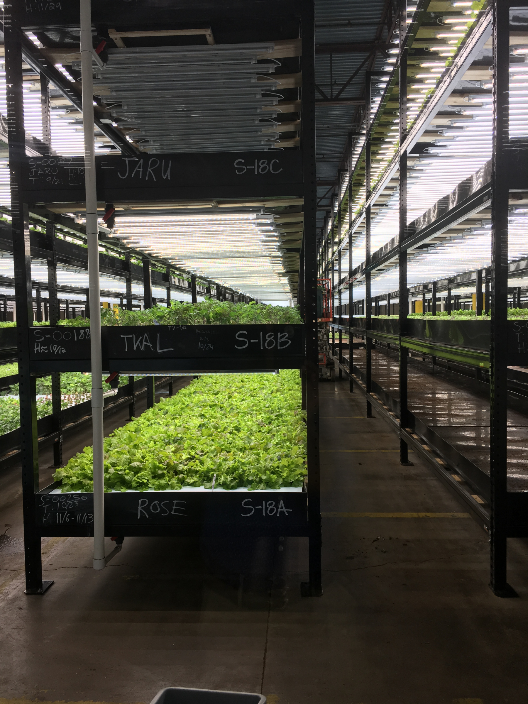 Hydroponics UV Disinfection PR Aqua Urban Organics