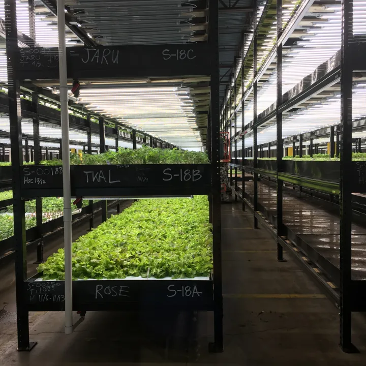 Hydroponics UV Disinfection PR Aqua Urban Organics