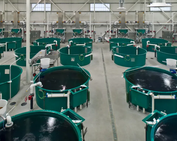 Image of a PR Aqua hatchery in Anchorage