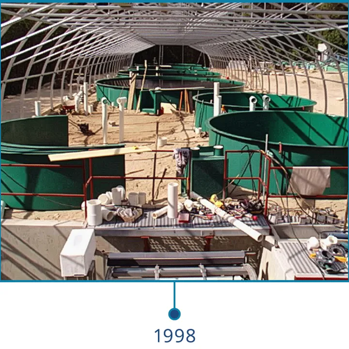 Target Marine Grey Creek Hatchery - the first commercial RAS in 1998