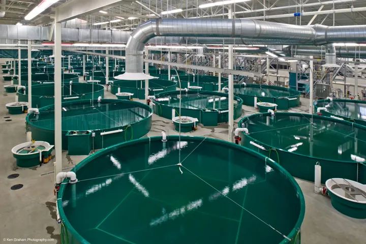 PR Aqua, RAS Aquaculture Engineering & Design