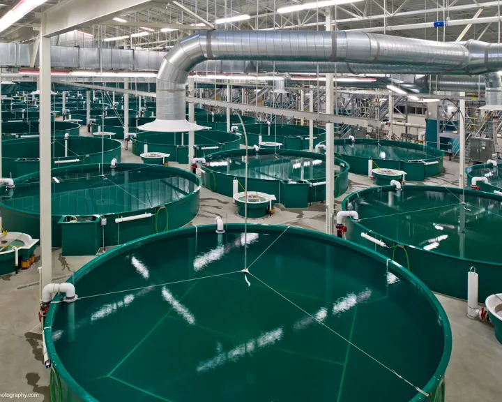PR Aqua, RAS Aquaculture Engineering & Design
