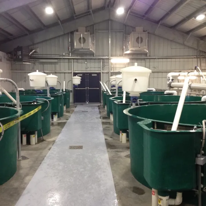 Nechako Hatchery Indoor Pools