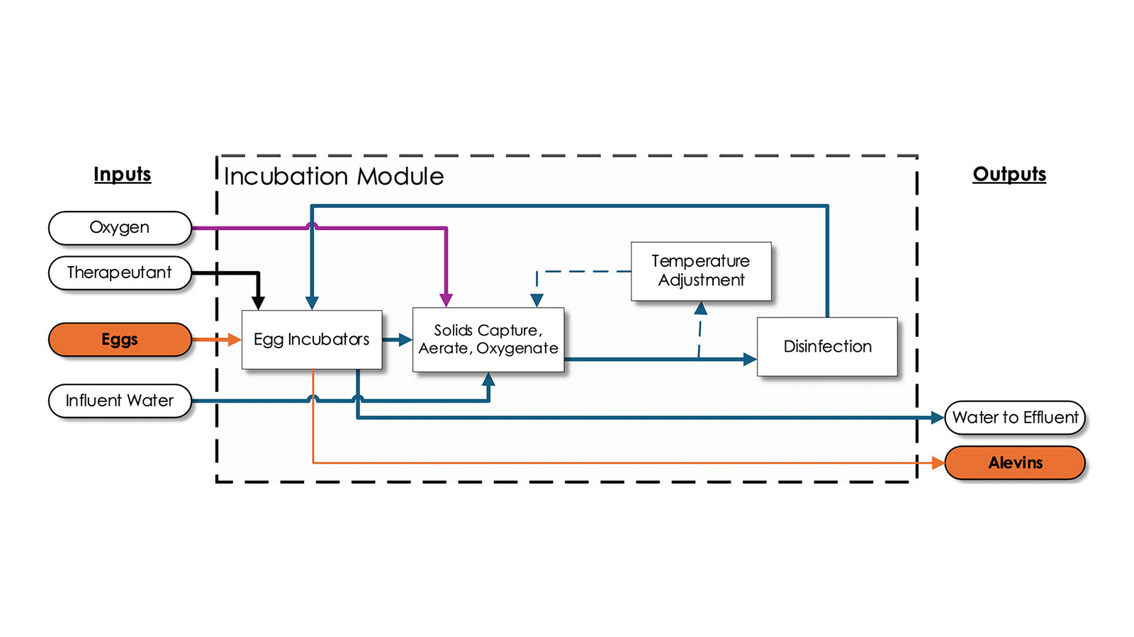 Process Flow Diagram