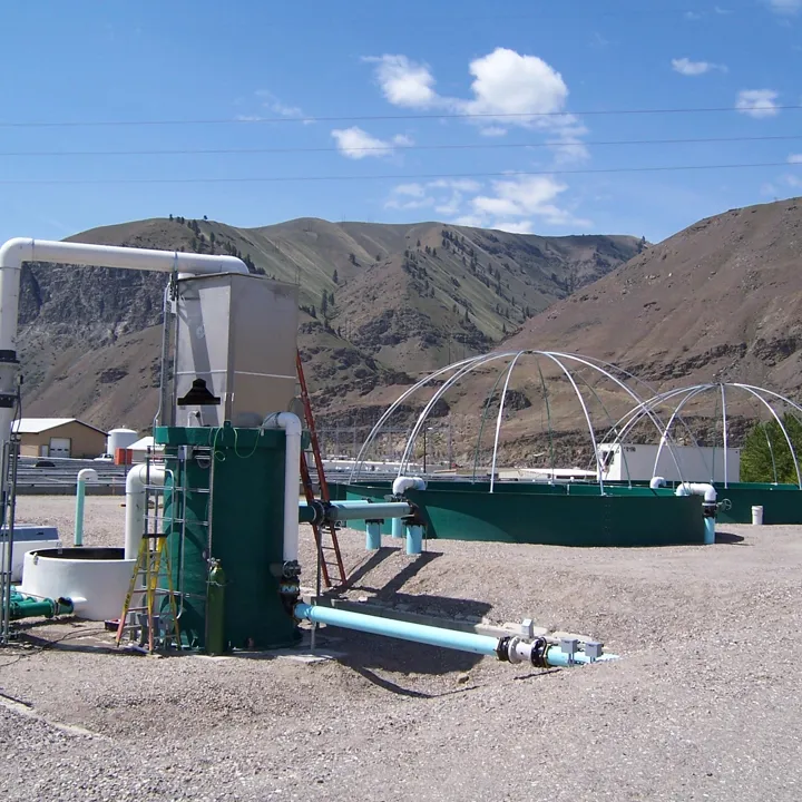 Recirculating Aquaculture Systems (RAS) Water Treatment In United States