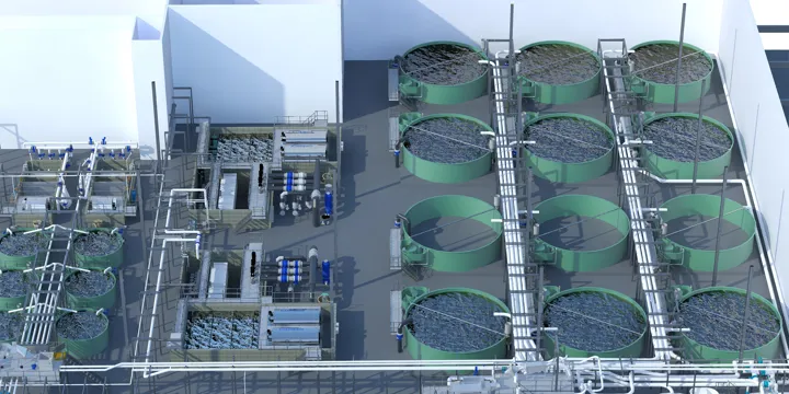 Upward Farms RAS Recirculating Aquaculture System Design Engineering