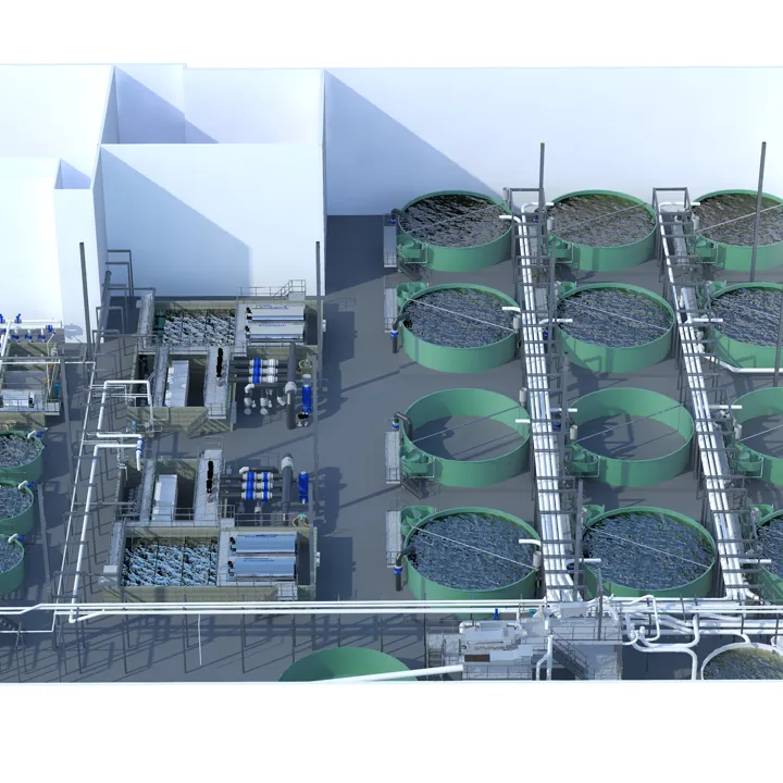 Upward Farms RAS Recirculating Aquaculture System Design Engineering