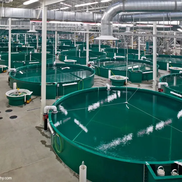William Hernandez Hatchery In Anchorage Alaska