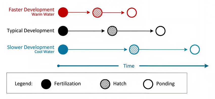 Temperature Control Chart