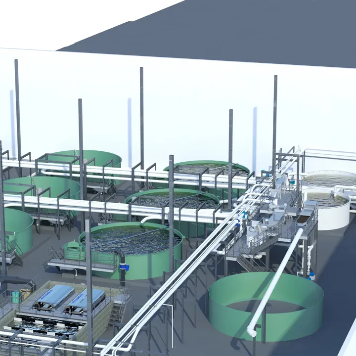 RAS Recirculating Aquaculture System Design Engineering