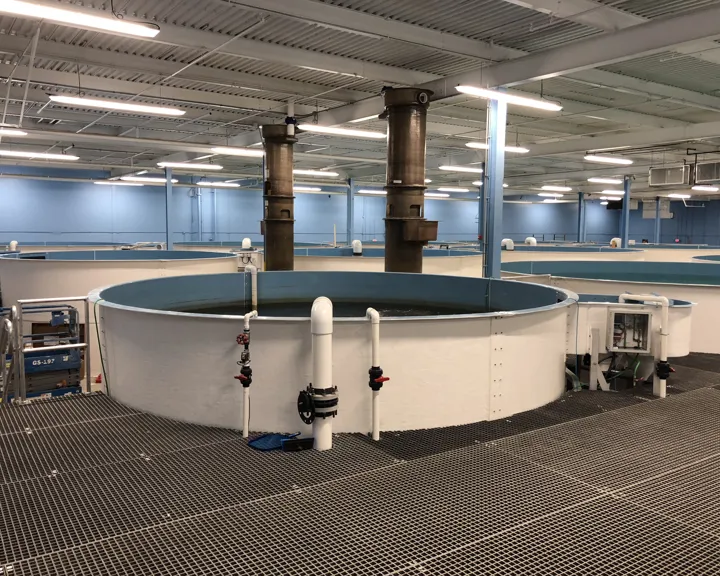 Ideal Fish Hatchery