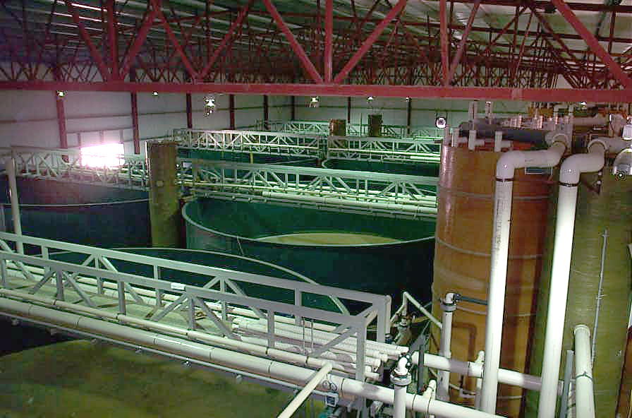 RAS recirculating aquaculture system Hydrotech drum filter aquaculture at Wolf Creek Hatchery