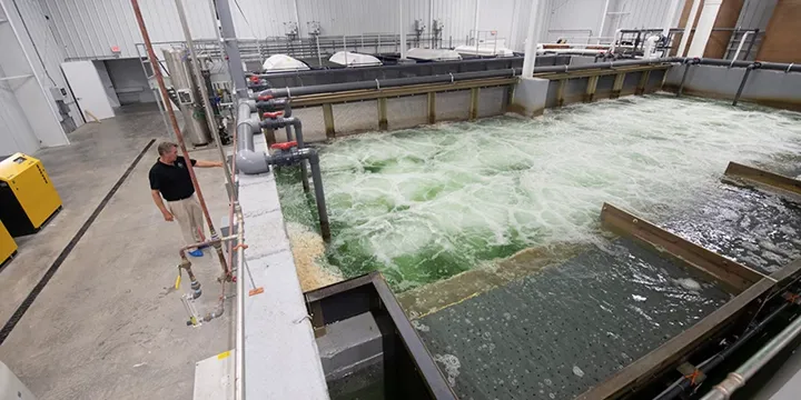 Ideal Fish Facility PR Aqua