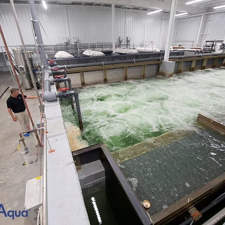 Ideal Fish Facility PR Aqua
