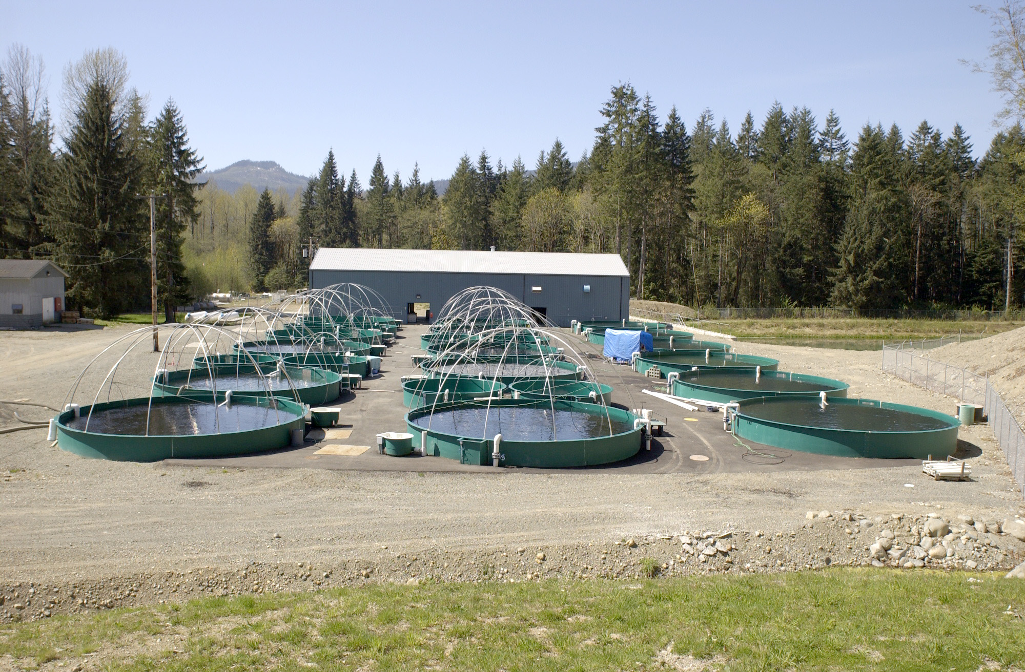 Outdoor of the hatchery at Big Tree Creek Hatchery