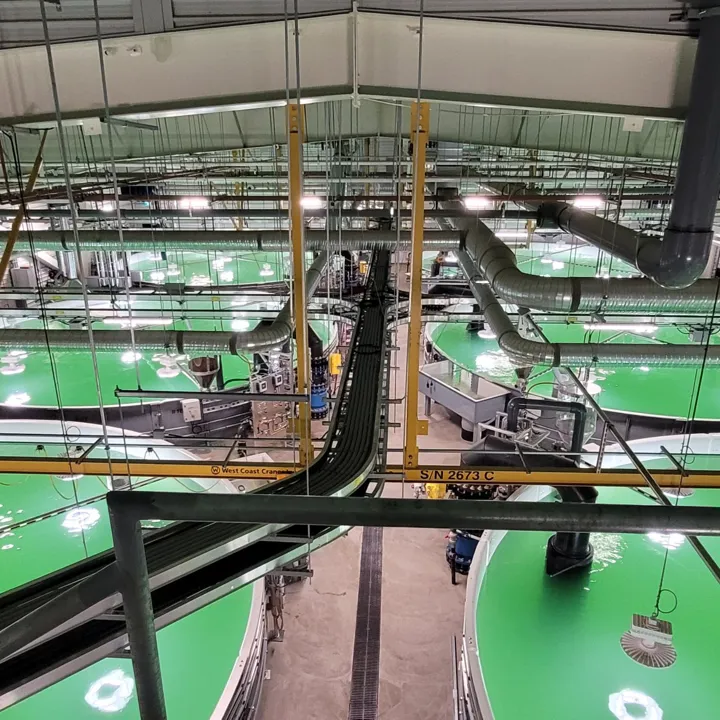 The tanks in the Grieg Seafood Fish Hatchery project