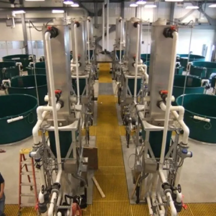 Ruth Burnett 10 Foot Tank Design