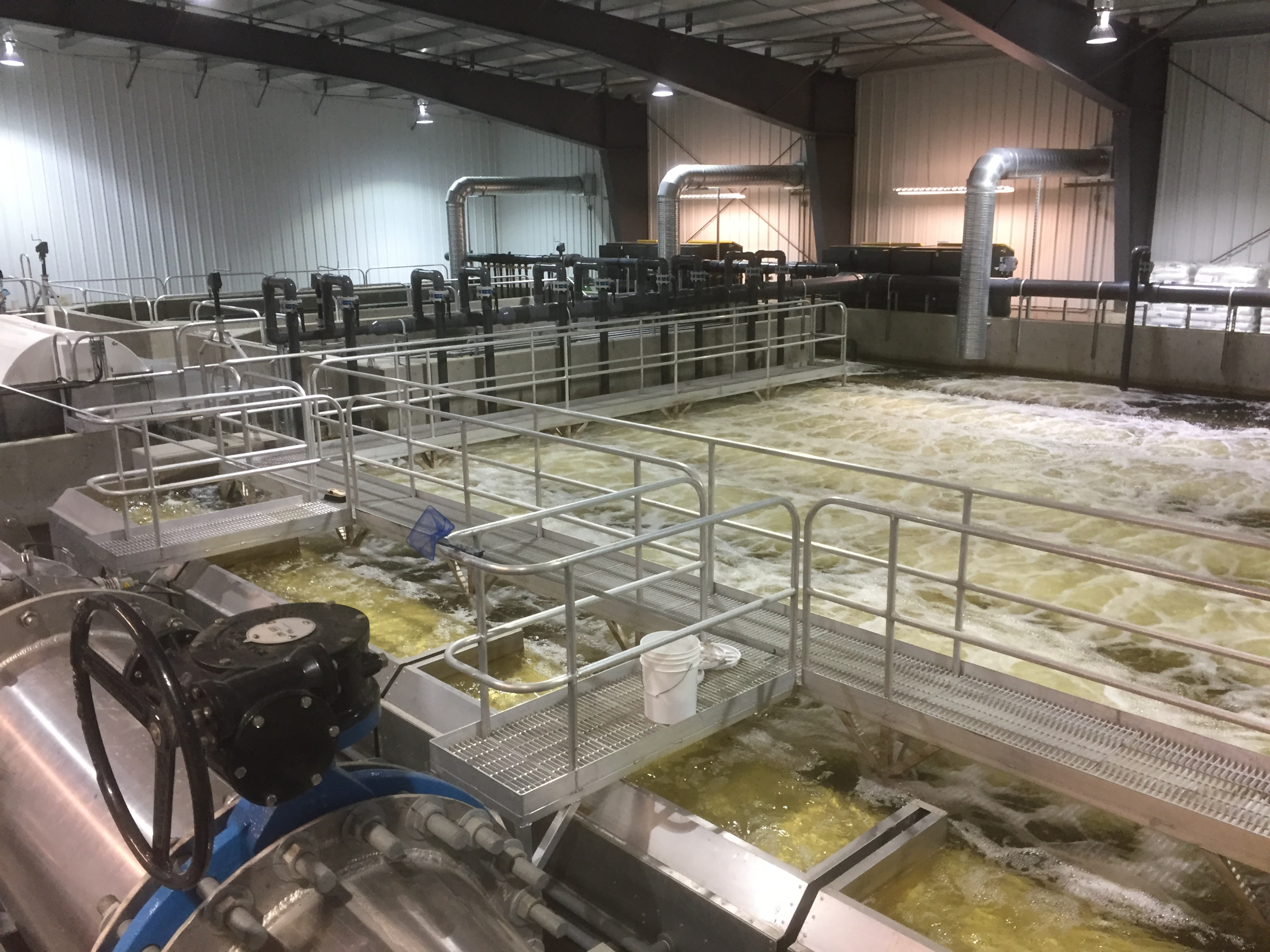 Inside the Dalrymple Hatchery