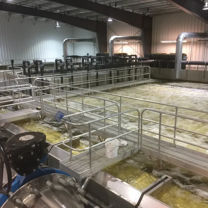 Inside the Dalrymple Hatchery