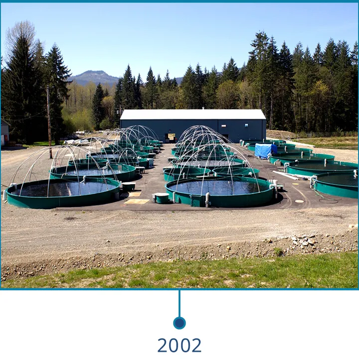Big Tree Creek fry and smolt facility is designed, built, and supported by PR Aqua in 2002