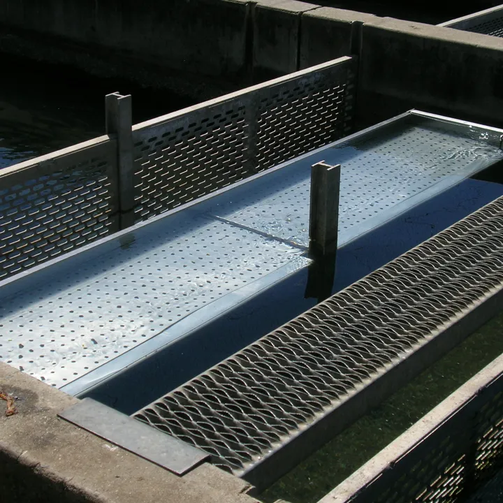 RAS Recirculating Aquaculture System Design Hydrotech Drum Filter