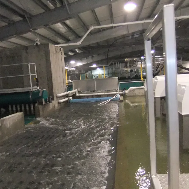 RAS Recirculating Aquaculture System Hydrotech Drum Filter Belt Aquaculture