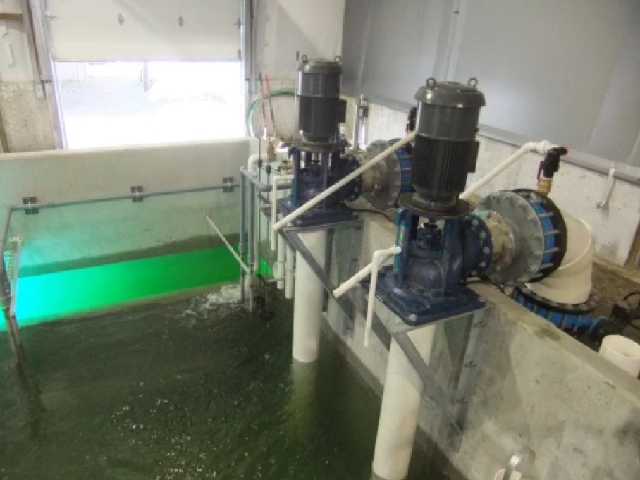 Axial Flow Recirculation Pumps at the Dalrymple Hatchery
