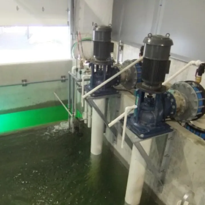 Axial Flow Recirculation Pumps at the Dalrymple Hatchery