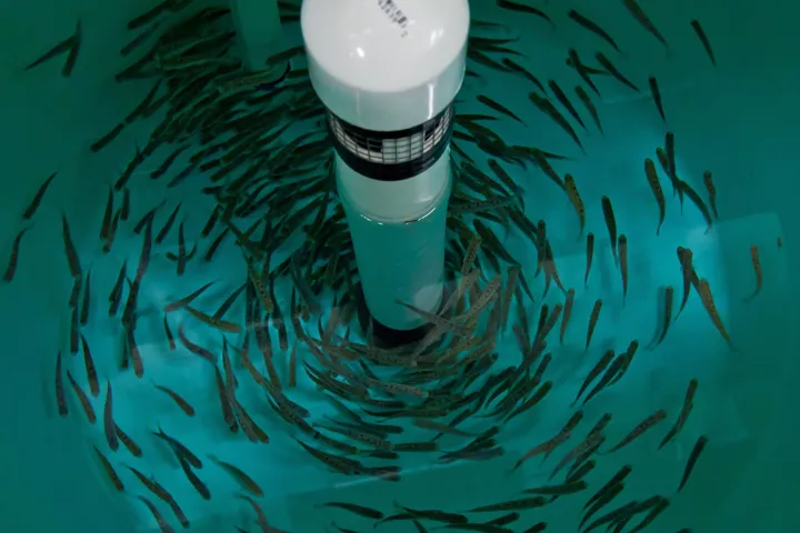 Hydrotech Drum Filters USA And Canada