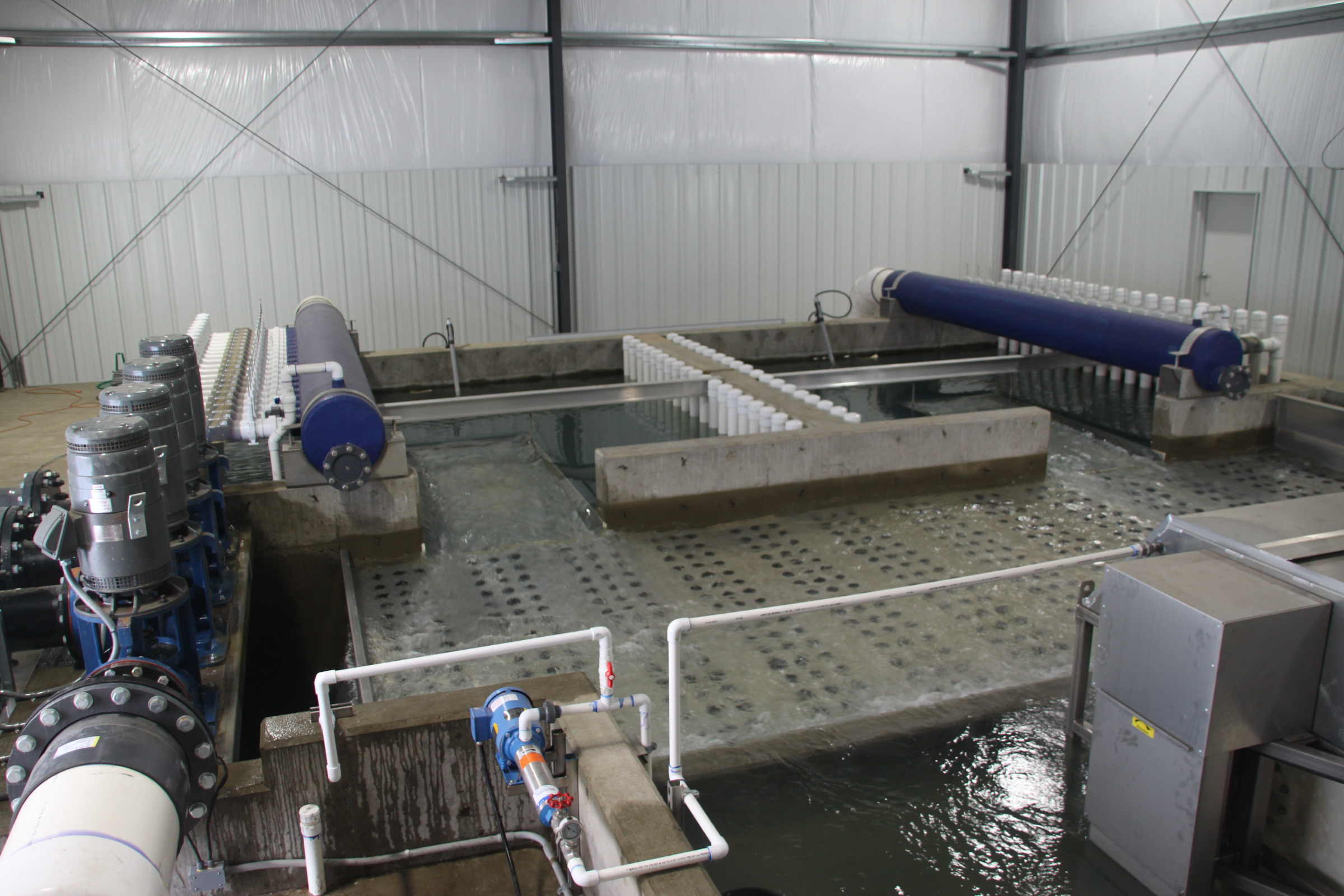 RAS recirculating aquaculture system Hydrotech drum filter aquaculture