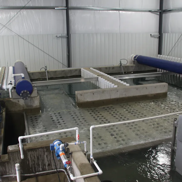 RAS recirculating aquaculture system Hydrotech drum filter aquaculture