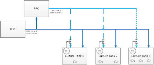 Pressurized Packed Column PPC process