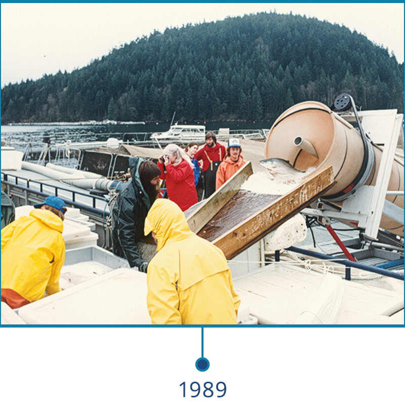 The Pescalator is born in 1989